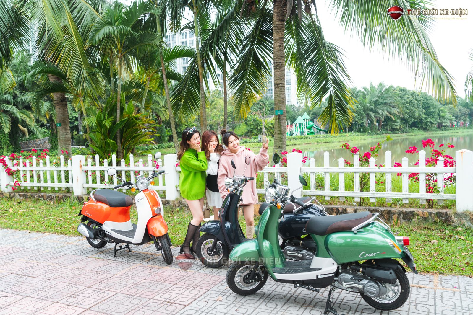Xe 50cc có cần bằng lái không? Giải đáp thắc mắc về quy định hiện hành