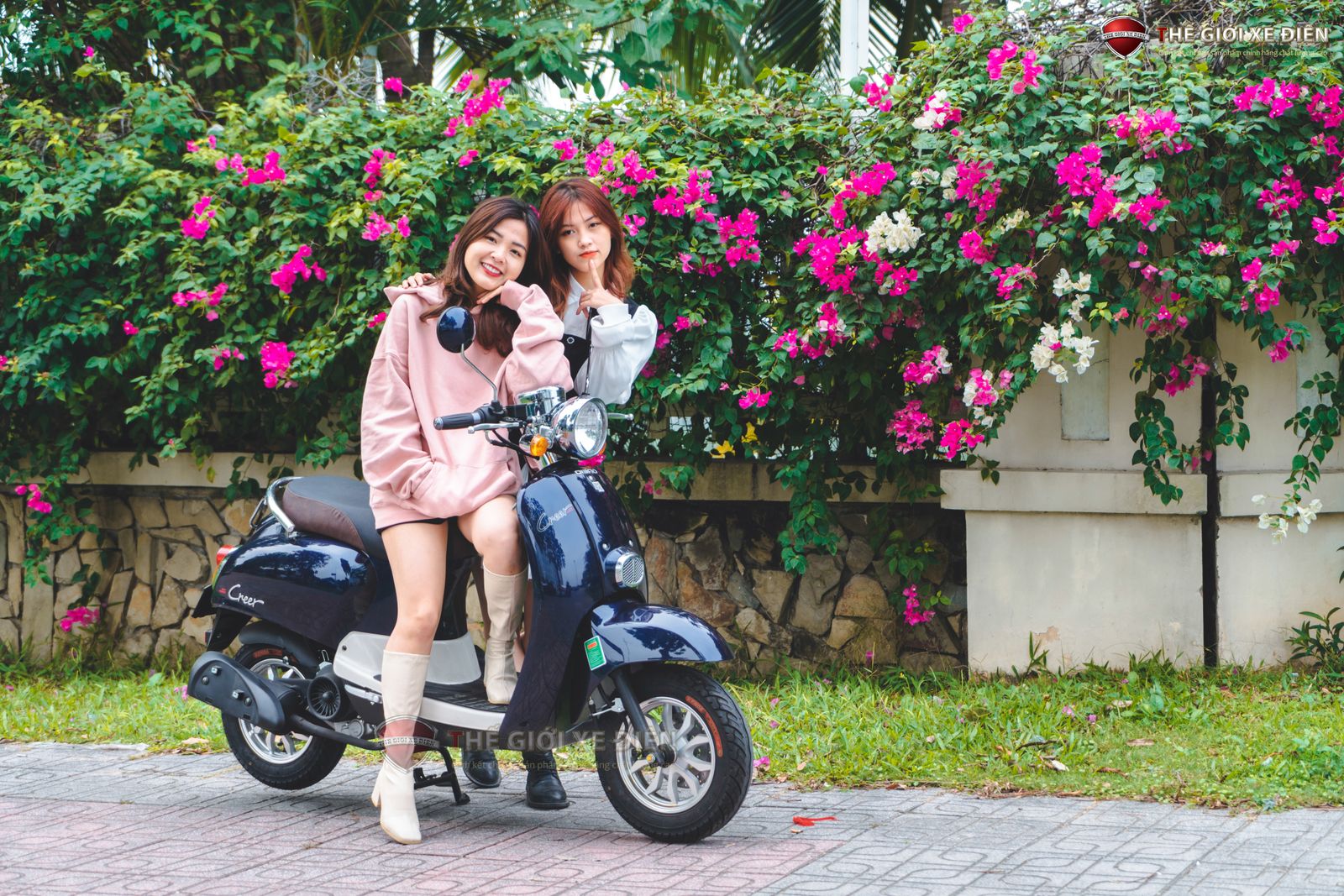 Xe 50cc có cần bằng lái không? Giải đáp thắc mắc về quy định hiện hành