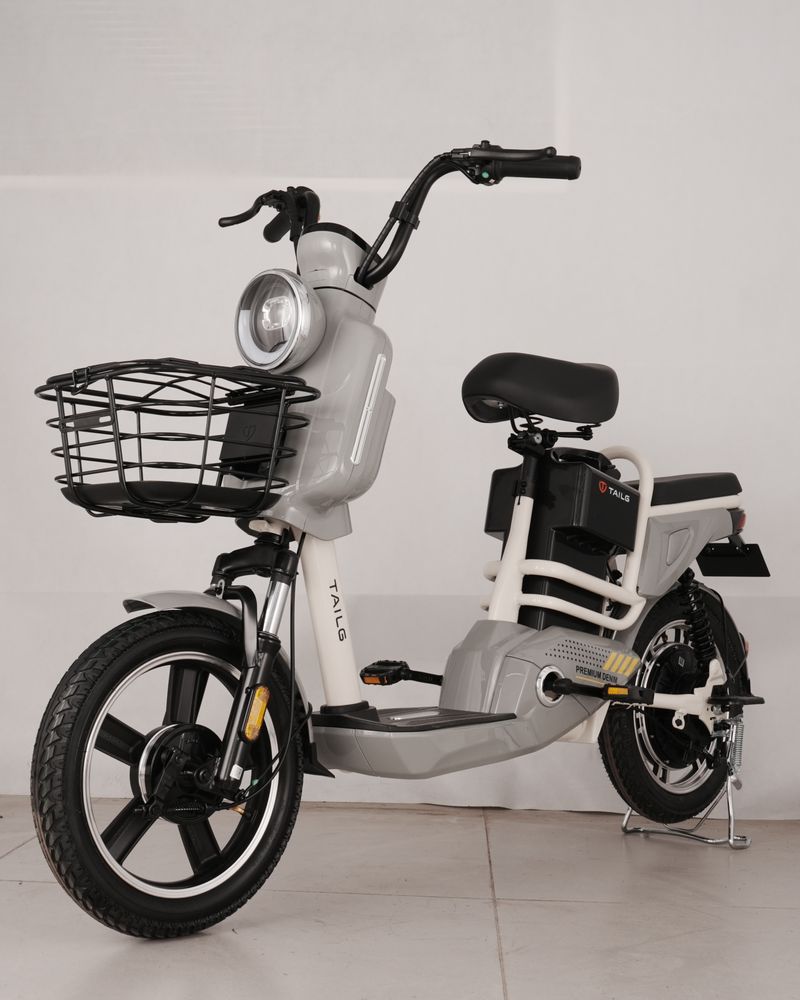 Giá xe đạp điện Tailg so sánh các mẫu xe đáng tiền từng phân khúc