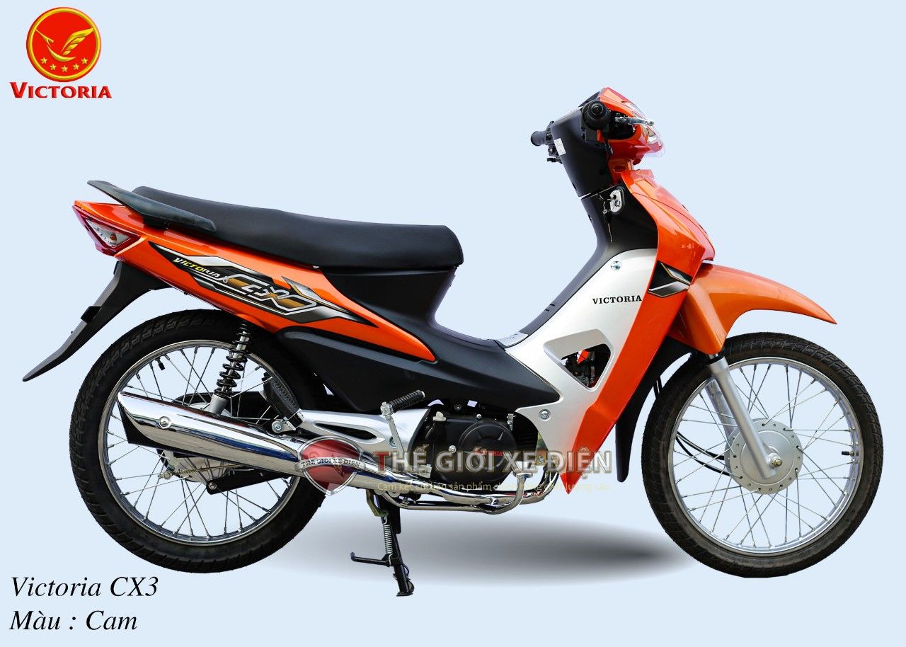 Các bộ phận nào trên xe số 50cc cần được bảo dưỡng thường xuyên