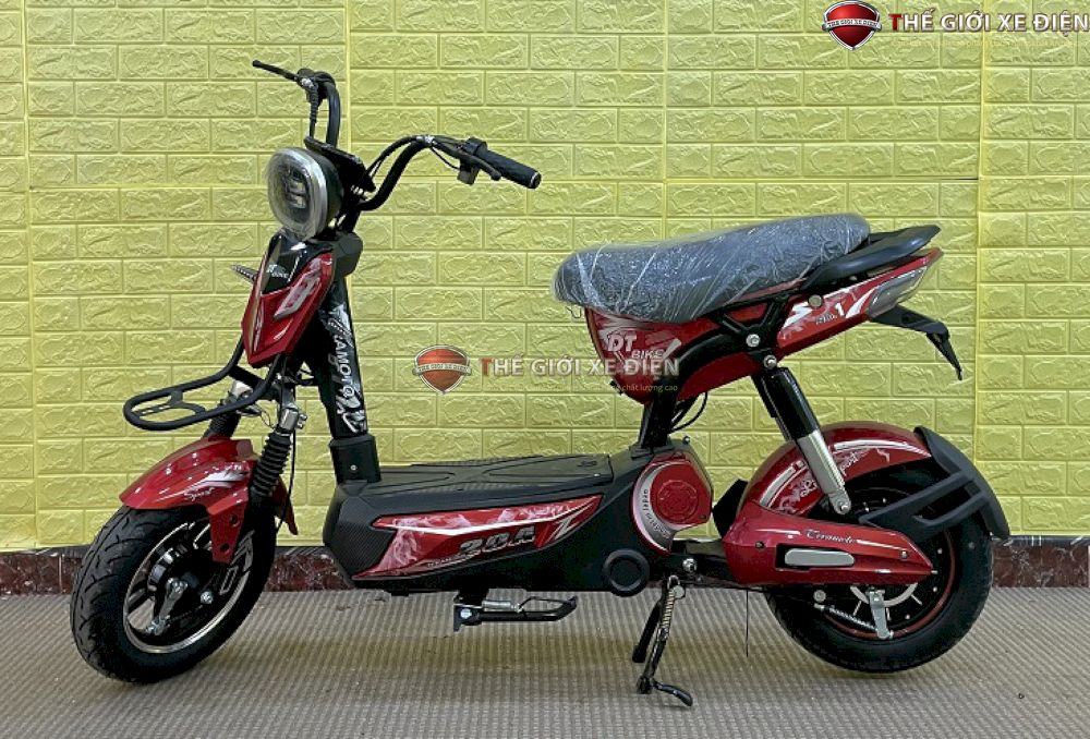 Xe Đạp Điện RANGER DT Bike 12Ah