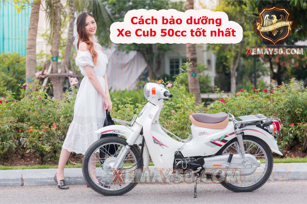 Hướng dẫn cách bảo dưỡng xe Cub 50cc dành cho các bạn trẻ