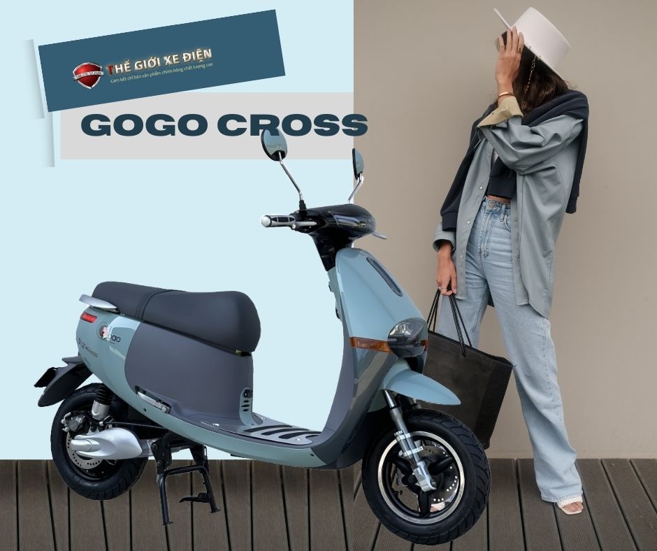 So sánh xe máy điện Ally Autosun A5 và Gogo Cross