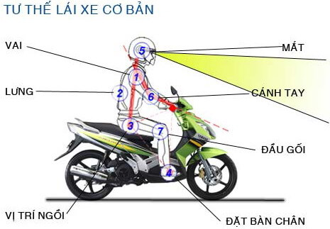 Điều Khiển Xe Máy 50cc Đúng Cách  - Tư Thế Lái Xe An Toàn