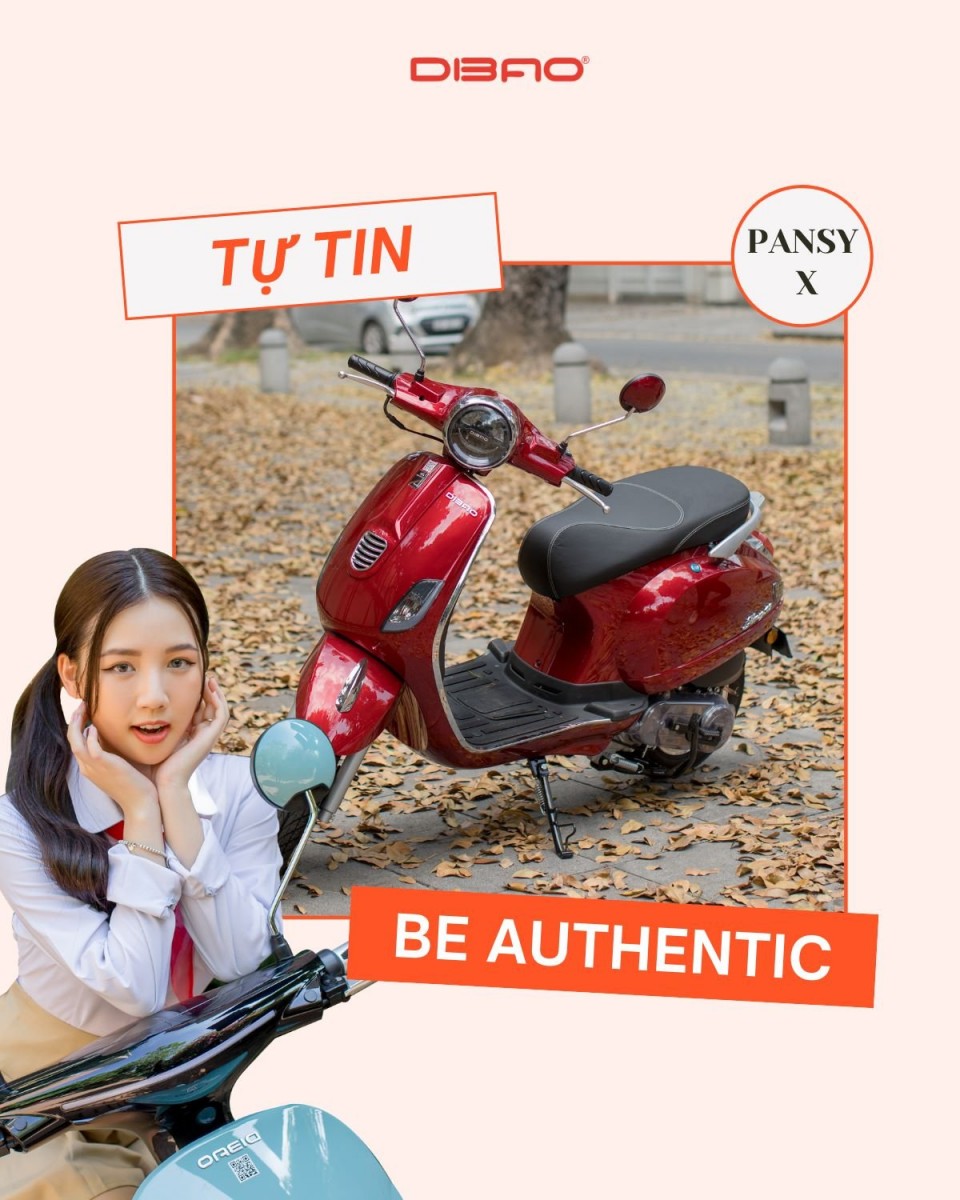 So Sánh Xe Máy Điện Vespa Dibao Pansy S Và Xe Máy Ga 50cc Vespa Dibao Pansy X